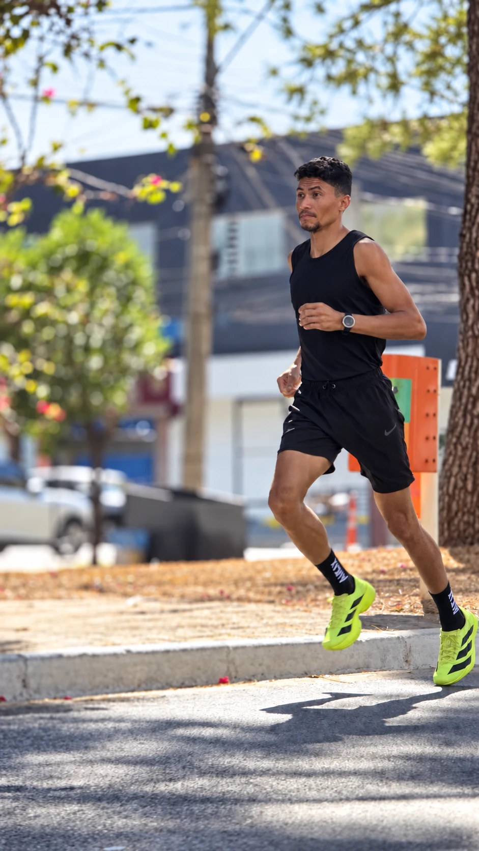 Landim em movimento durante corrida ao ar livre.